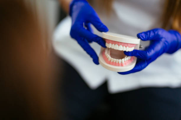 Best Full Mouth Reconstruction  in Frewsburg, NY